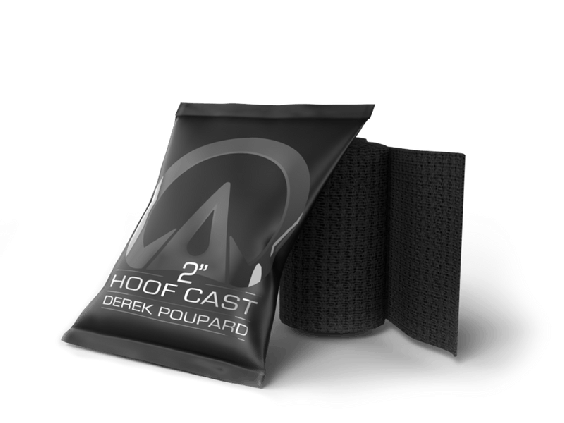 3D hoofcast 2"