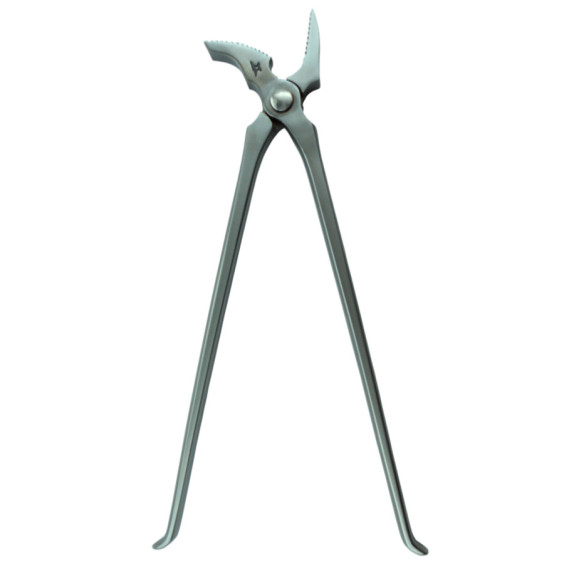 JKeith - Light Horse Clincher