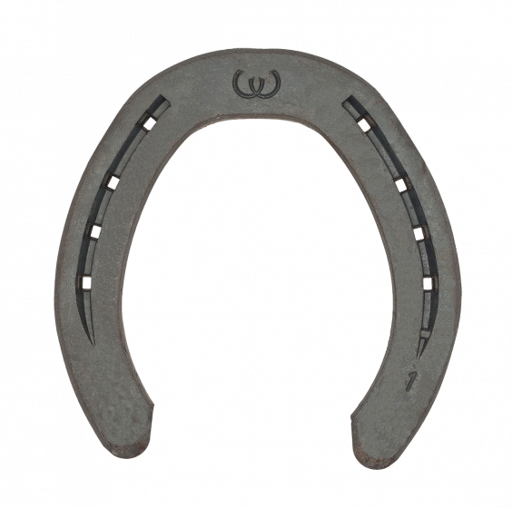 4  H 24x10 Warrior SC 2x3/8"